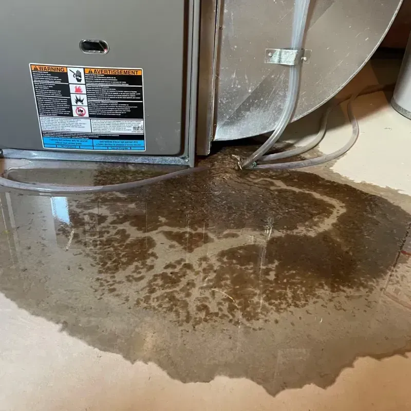 Appliance Leak Cleanup in Prescott Valley, AZ